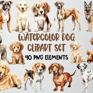 Conjunto de 40 imágenes prediseñadas de perros en acuarela, imágenes prediseñadas de razas de perros, imágenes prediseñadas de mascotas, imágenes prediseñadas de perros lindos, imágenes prediseñadas de cachorros, licencia comercial