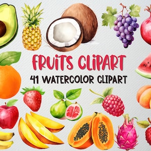 Conjunto de clipart de frutas em aquarela com 41 arquivos PNG, clipart de verão, clipart de frutas fofas, clipart de abacaxi, clipart de melancia, LICENÇA COMERCIAL