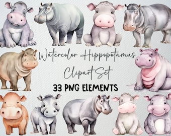 Conjunto de imágenes prediseñadas de hipopótamos en acuarela: 33 animales de safari PNG (licencia comercial)