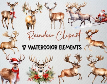 Watercolor Reindeer Clipart Set Of 17 PNG Files, Christmas Clipart, Reindeer Png, Holiday Clipart, Winter Clipart, COMMERCIAL LICENSE