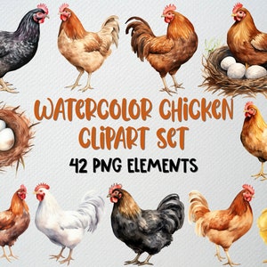 Ensemble de 42 fichiers PNG aquarelle poulet, clipart coq, poule Clipart, clipart poussin bébé, clipart animaux de la ferme, licence commerciale