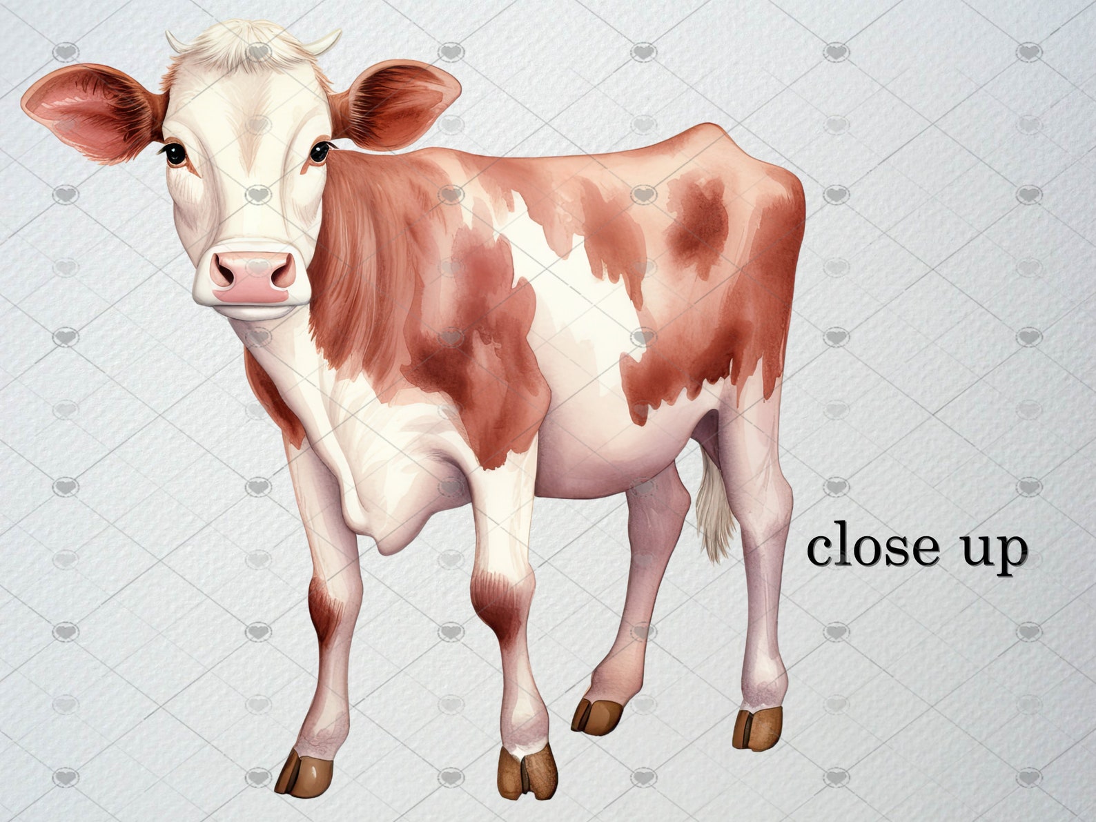 Watercolor Cow Clipart Set of 22 PNG Files, Cow Illustration, Baby Cow ...