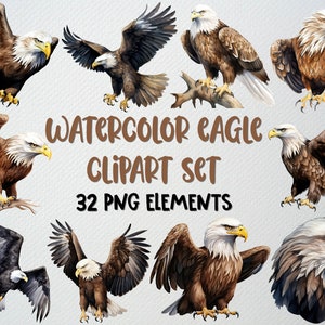 Aquarell Adler Clipart Set von 32 PNG-Dateien, Vogel Clipart, Weißkopfseeadler Png, fliegender Adler Clipart, Adler Illustration, KOMMERZIELLE LIZENZ