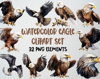 Watercolor Eagle Clipart Set: 32 PNG Bird Illustrations (Commercial License)