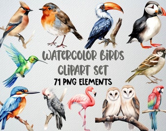 Watercolor Birds Clipart Set: 71 PNG Bird Illustrations (Commercial License)
