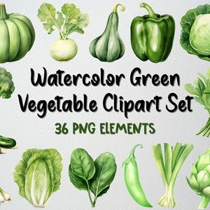 Aquarelle de légumes verts clipart de 36 fichiers PNG, clipart végétarien, jardin des cliparts, clipart légume, avocat clipart, LICENCE COMMERCIALE