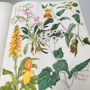 Vintage Buchseiten botanisches Thema