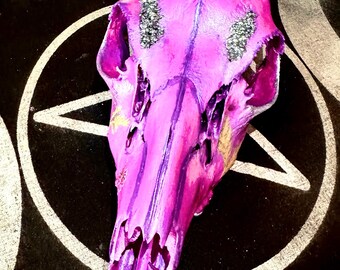 Deer Skull- Preserved, Restored, & Hand Painted. Beautiful Addition to Your Sacred Space- Animal Talisman, Spirit Animal, Shaman Decor