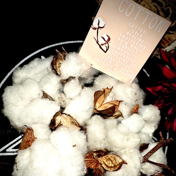 Real Authentic Cotton - DIY- Poppets, Voodoo Dolls, With Real Cotton - Connection to Source- Ancestor Offering- Witchcraft - Hoodoo/Voodoo