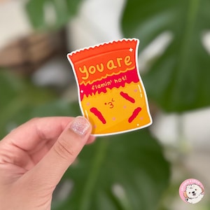 Niedlicher “You’re Flamin’ Hot” Vinyl Aufkleber – Hot Cheetos Bag Design, lustiges Food Pun Abziehbild für Laptops, Wasserflaschen & Journale