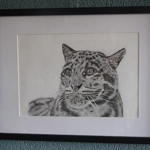 Clouded Leopard Art Print | Digital copy of original | Realistic drawing with graphite pensils | Wild cat | Wall art