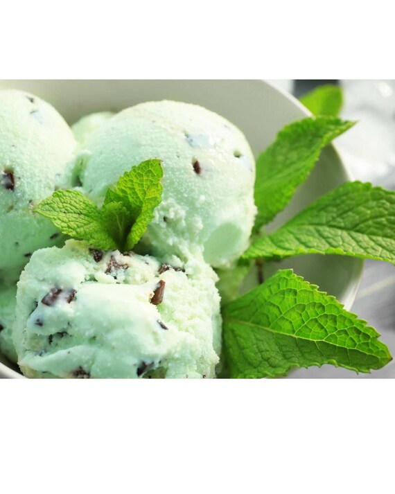 Mint Choc Chip Ice Cream Perfume – Cool Minty Chocolate EDP
