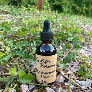 Motherwort tincture | Leonorus cardiaca | GF | Vegan | Organic