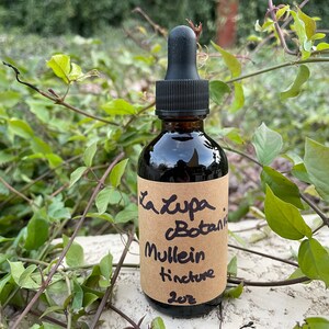 Mullein Tincture | Verbascum thapsus | Mullein leaf | GF | Vegan | Organic