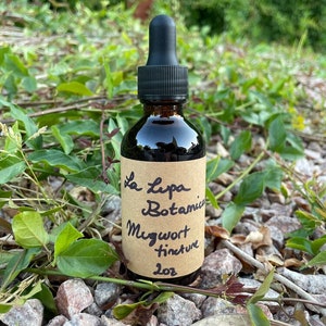 Mugwort tincture | Artemisia vulgaris | GF | Vegan | Organic