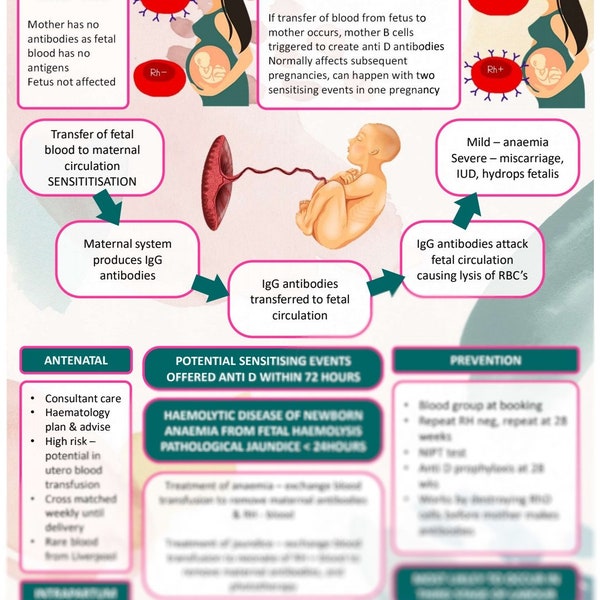 Red cell antibodies for student midwives