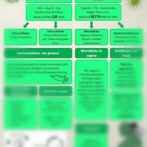 Microbiology for student midwives study sheet