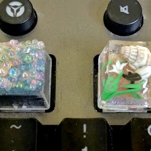 May include: Two custom keyboard keycaps. One keycap features iridescent bubbles, the other has a seashell, green seaweed, and white flowers encased in clear resin. The keycaps are on a gray keyboard.