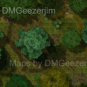 RPG, D&D, TTRPG-gevechtskaart, bos, bomen, gematigde gevechtskaart. Boskaart, VTT-ready digitale/afdrukbare kaartbestanden