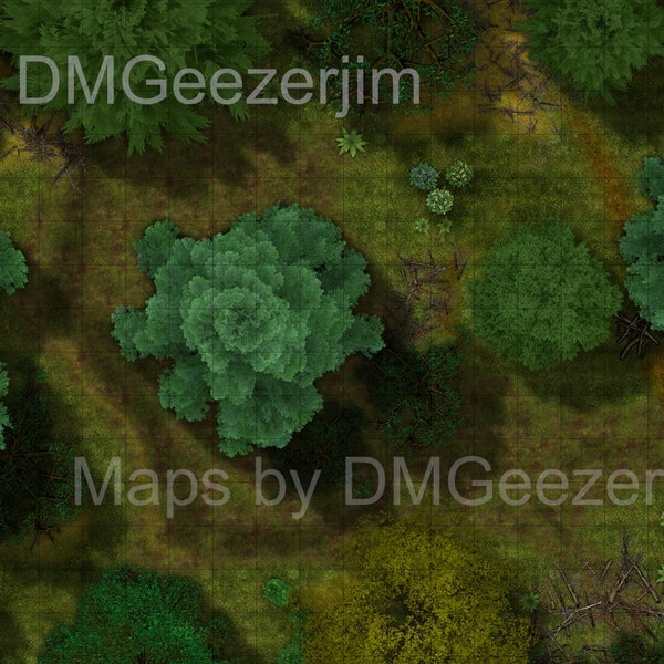RPG, D&D, TTRPG battle map, Forest, trees, temperate battle map. Forest map, VTT ready digital/printable map files