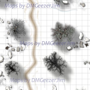 D & D-Schlachtkarte, Schneekarte, Schneewaldkarte, Tag und Nachtversion, VTT digitale Karte für RPG und Tabletop.