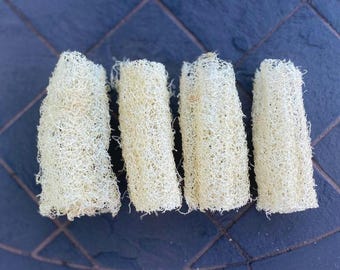 May include: Four natural loofah sponges, beige in colour, are arranged in a row on a blue tiled surface. The loofahs are all the same size and shape, and they have a rough, textured surface.