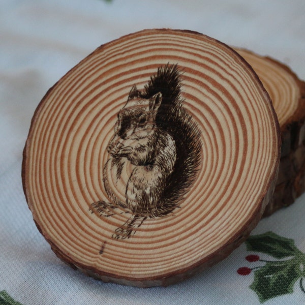 Set of Wooden Engraved Squirrel Drinks Coasters
