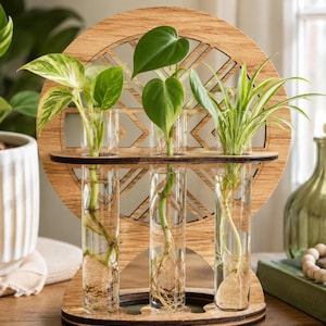 Plant Propagation Station Wooden Holder Glass Tubes Indoor Gardening Houseplant Decor Plant Lover Gift Idea Home Office Desk Accessory Wood