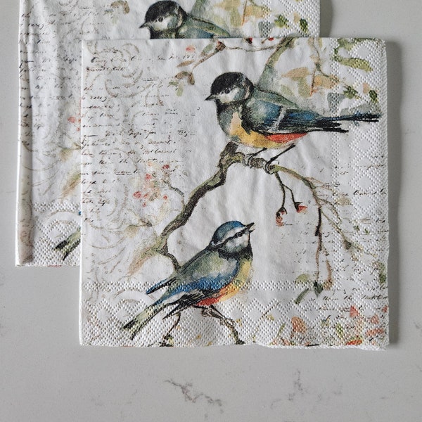 Happy Little Birds COCKTAIL or GUEST TOWEL Size Paper Napkin - Set of 2 Individual Napkins - for Decoupage, crafting, card making