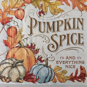 Pumpkin Spice Flourish DECOUPAGE COCKTAIL SIZE Napkin - Set of 2 Individual Napkins - Paper Napkin -for crafting