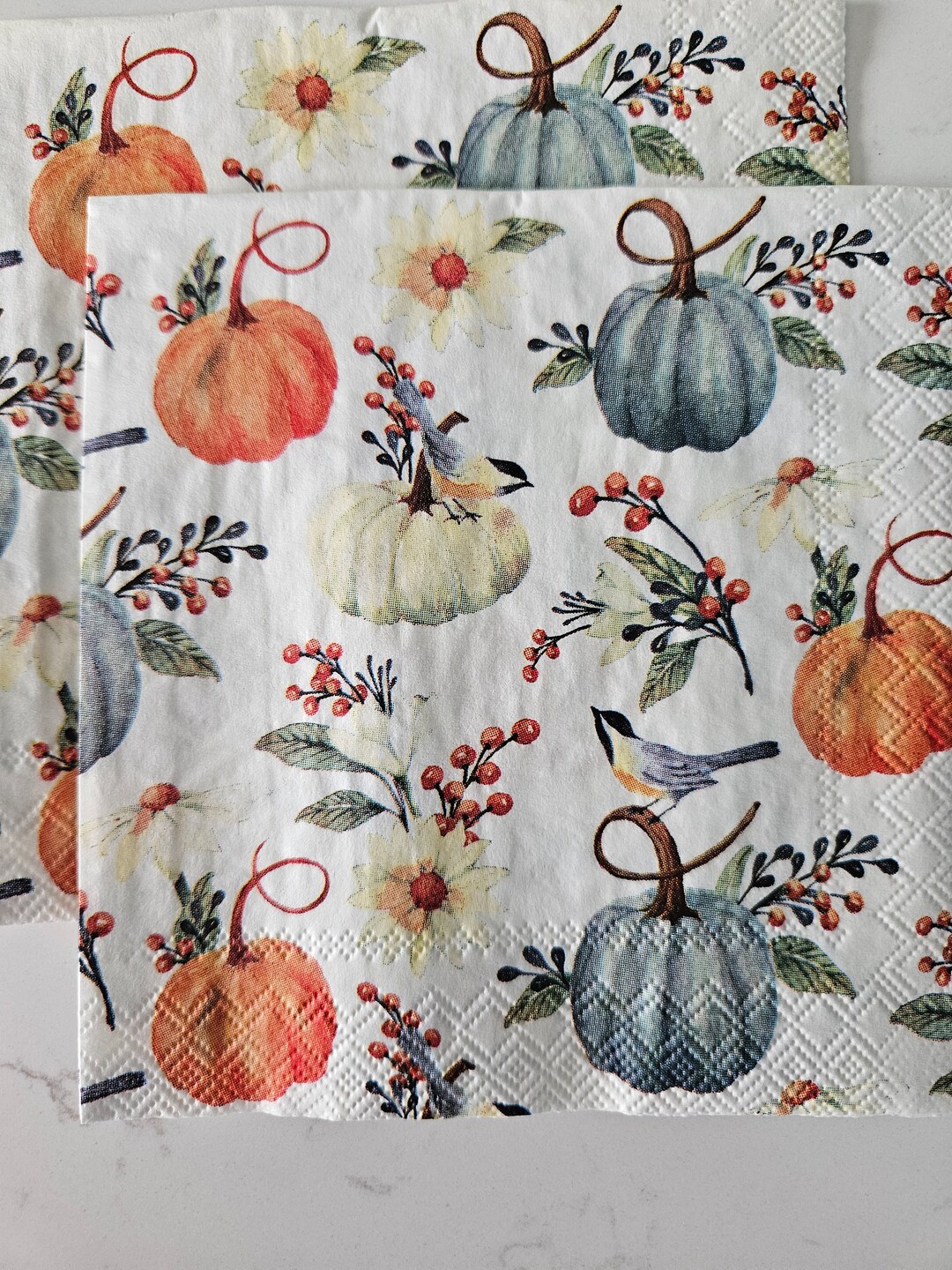 Pumpkin Floral DECOUPAGE COCKTAIL SIZE Napkin Set of 2 Individual