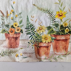 May include: Three terracotta pots with yellow and green flowers, set against a white background with a subtle floral pattern.
