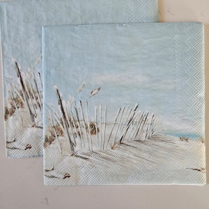 Beach Life DECOUPAGE Napkin - Set of 2 Individual Napkins - COCKTAIL SIZE Paper Napkin -for crafting