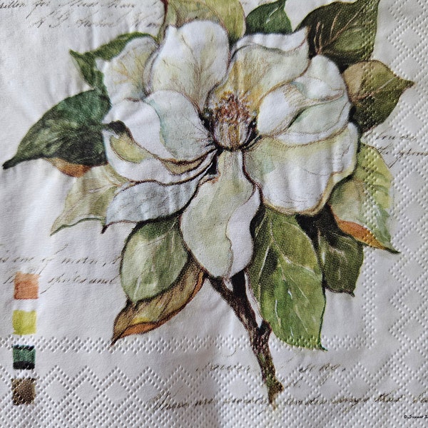 Magnolia Bloom DECOUPAGE Napkin - Set of 2 Individual Napkins - COCKTAIL SIZE Paper Napkin -for crafting, decoupage, etc.