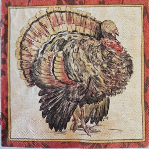 May include: A brown and white turkey with a red and yellow wattle and a red and yellow tail feathers. The turkey is standing on a beige background with a red and gold border.