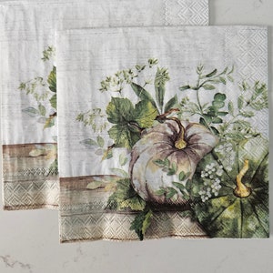 Green and White Pumpkins DECOUPAGE COCKTAIL SIZE Napkin - Set of 2 Individual Napkins - Paper Napkin -for crafting