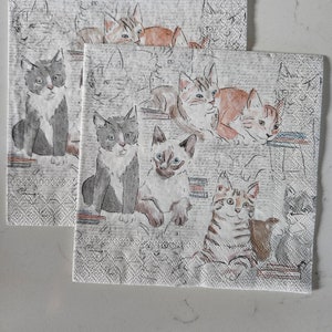 Library Cats DECOUPAGE Napkin - Set of 2 Individual Napkins - COCKTAIL SIZE Paper Napkin -for crafting