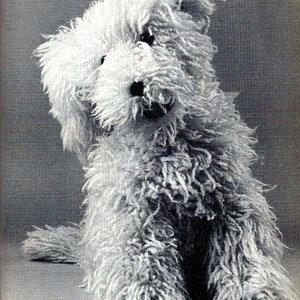 Op de afbeelding: Een witte, pluche hond met lange, ruwe vacht zit met zijn hoofd schuin. De hond heeft een zwarte neus en donkere ogen.