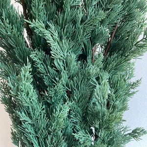 May include: A bunch of artificial cedar sprigs in a deep green color. The sprigs are arranged in a cluster, creating a full and lush appearance.