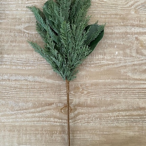 May include: A green artificial plant stem with a brown stem and a few large green leaves. The plant has many small, needle-like leaves. The stem is tied with a thin, brown string.