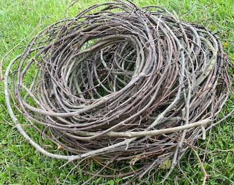 200+ ft. Fresh Extra Skinny Curly Tendrils Muscadine Grapevine 1/8"-1/4" Long Flexible Wispy Wreath Base Wedding Event Floral Craft Supply