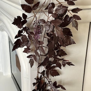 May include: A dark brown artificial vine with small purple berries hanging from a white wall.