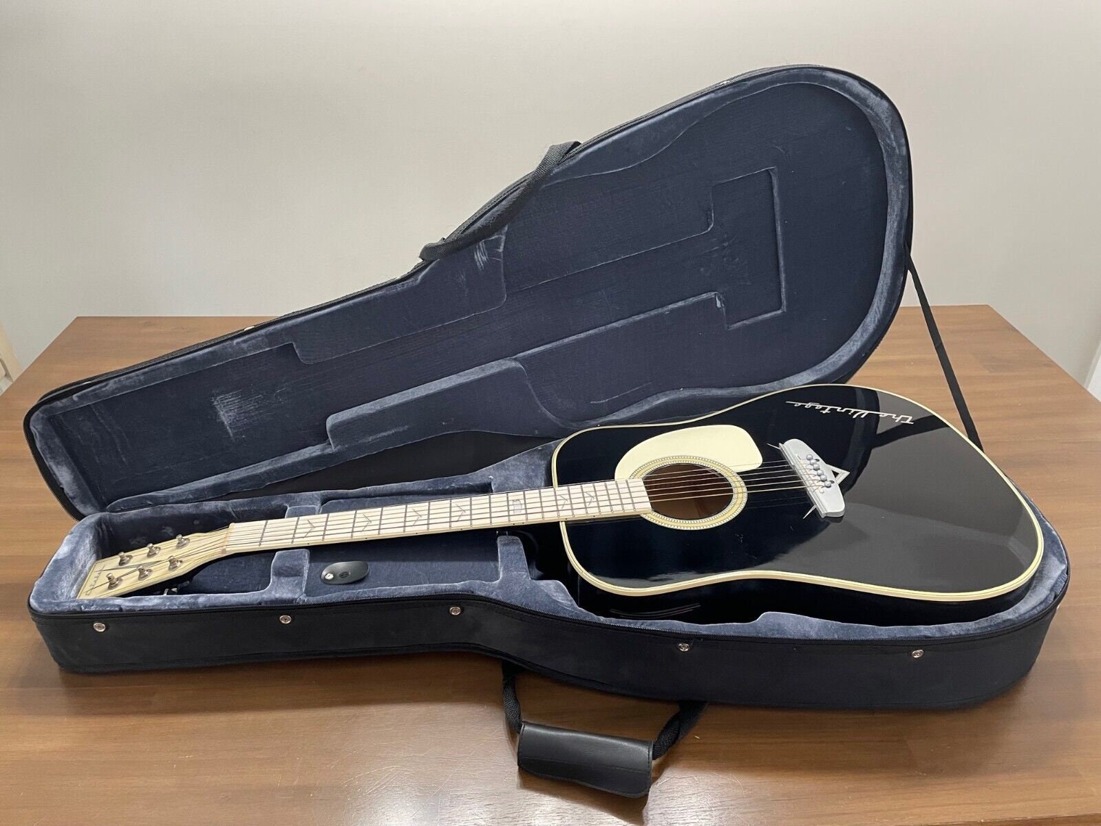 Esteban acoustic electric guitar outlet