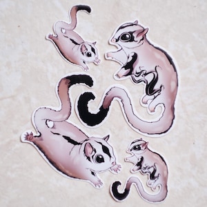 Sugar Gliders - Glossy Waterproof Exotic Pet Sticker