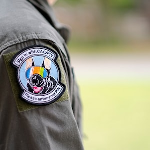 The Goodest Boy Military Email Dog - Full Color Stitched Patch - Etsy