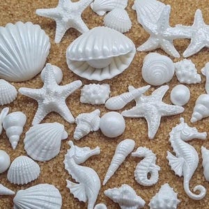 Könnte beinhalten: Eine Ansammlung weißer, dekorativer Muscheln, Seesterne, Seepferdchen und anderer maritim angehauchter Formen. Die Objekte sind auf einem Bett aus braunen, sandartigen Granulaten angeordnet und erzeugen eine Strandästhetik. Die Sammlung umfasst verschiedene Größen und Stile.