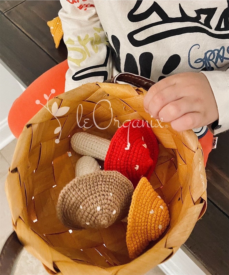 May include: A woven light brown basket containing three crocheted mushrooms in red, tan, and orange, each featuring white stitched spots on the cap and a cream-coloured stem. The logo leOrganix is visible in white text over the basket.
