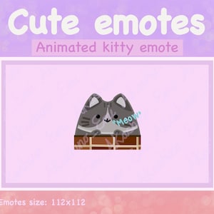 GIF animata con emote animata che sbircia il simpatico gattino per Twitch / Discord