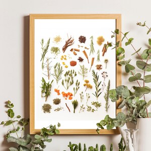 Arten von Gewürzen Print, Küche Wanddekor, Kochen Gewürze PRINTABLE, Kräuter Und Gewürze Wandkunst, Gewürze Kunstdruck, Küche Gewürze Wandkunst