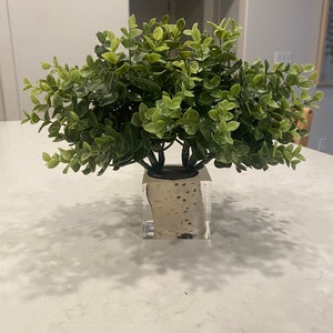 Regali di nozze, vaso di betulla, albero di betulla, vaso di legno fatto a mano per interni, regalo per la festa della mamma, regalo di nozze, vaso di legno, arredamento di nozze, arredamento da tavolo